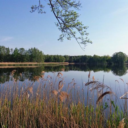 Ferienwohnung Lodig Gross Sarchen Buitenkant foto